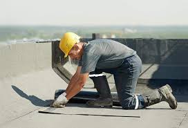 Best Flat Roofing  in Winnebago, MN